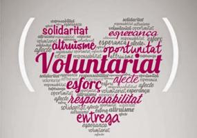 Dia Internacional del Voluntariat.jpg